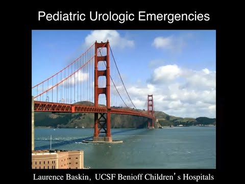 4.9.2020 Urology COViD Didactics - Pediatric Urologic Emergencies