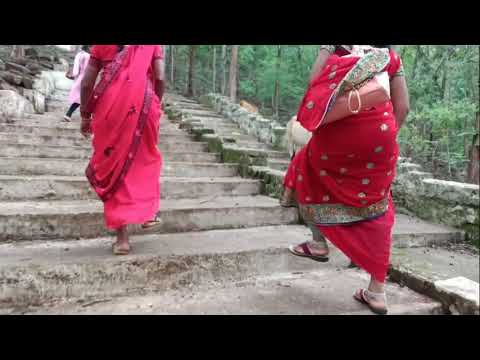 karela bhavani 1 240621