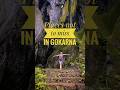 Places To Visit Near Gokarna Vibhooti Falls Mirjan Fort Yana Caves Gokarna Travelfitnancy
