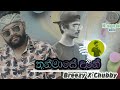 තුන්මාසේ දානේ Thum Mase Dane Breezy Ft Chubby Vizualizer Music Video