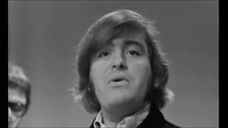 The Turtles - You Baby