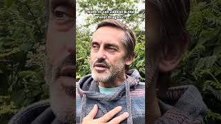 How to call Zadkiel, Saint Germain and the Violet dragons simple steps