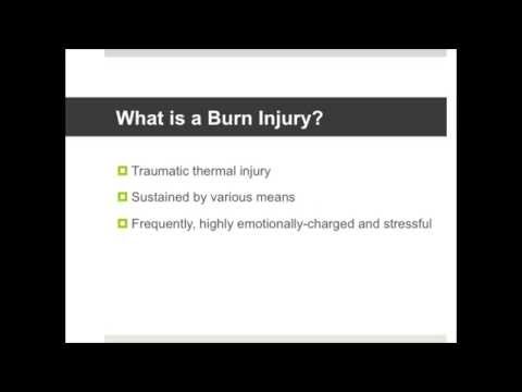 An Introduction to Burns
