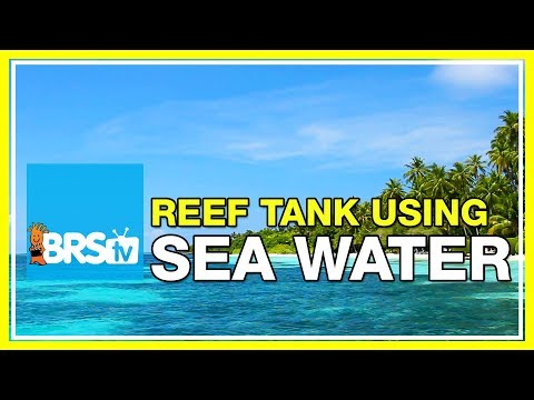 FAQ #36: Can I use ocean water in my reef tank? | 52 FAQ