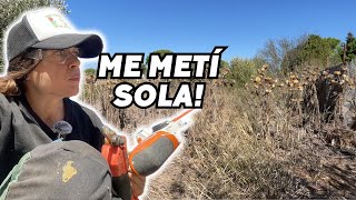 Me meto en OTRA FINCA ABANDONADA y esto es lo que había. Vlog256