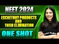 EXCRETORY PRODUCTS AND THEIR ELIMINATION In 1 Shot FULL CHAPTER Concepts PYQs Prachand NEET