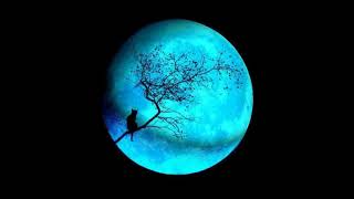 MxPx - Blue Moon (432 Hz)
