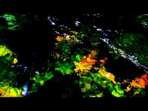 Ozric Tentacles live in The Crypt - London 1988