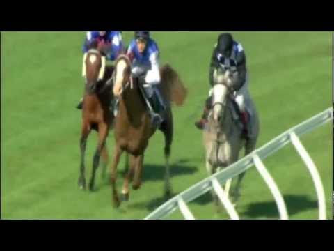 Sheikh Zayed Bin Sultan Al Nahyan Cup (2040m) on 27/01/2012