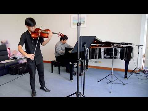 Franz Anton Hoffmeister : Viola Concerto in D major 1st movement