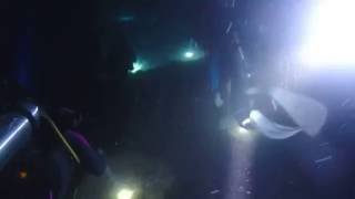 20161029 小琉球夜潛1