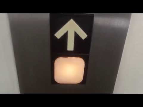 Retake of the ThyssenDover Impulse Hydraulic Elevator at Broward Humane Society