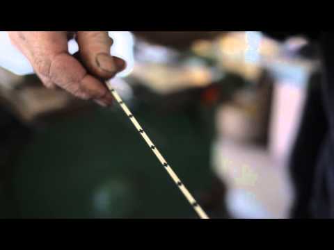 A Rare Bird: A portrait of luthier Michael Gurian