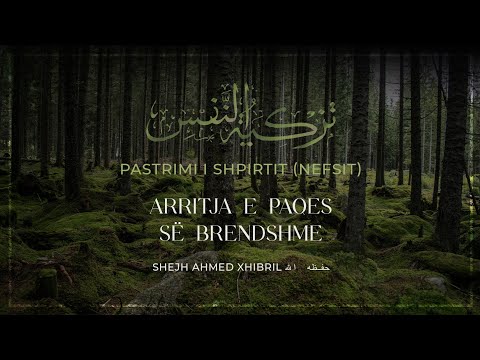 05| PASTRIMI I SHPIRTIT | Arritja e paqes së brendshme