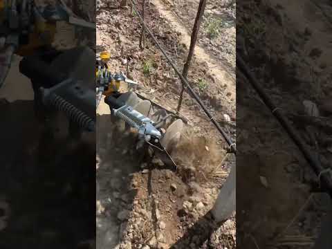 Kadıoğlu Eko Duyargalı Çapa Makinesi - 4’lü disk ataşmanıyla bağ çapası