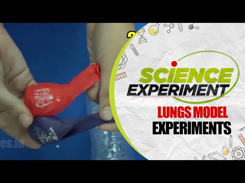 Science Experiment - 41 | Lungs Model Experiment | Chemistry Experiment