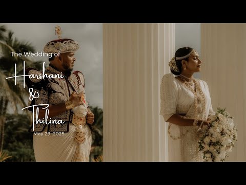 Harshani & Thiina / Wedding Day Highlight Video  / Black Magic Studio