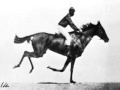 Race Horse First Film Ever 1878 Eadweard Muybridge