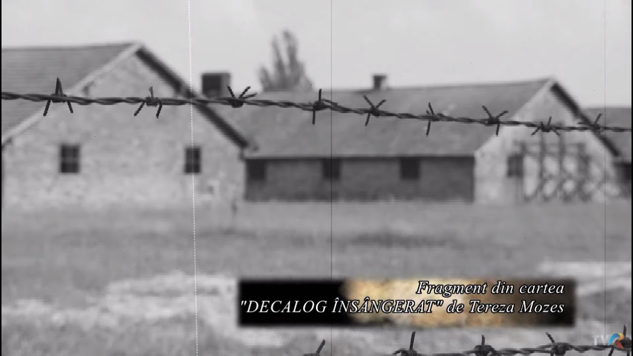 Amintiri din infern: Auschwitz 76 (@TVRi)