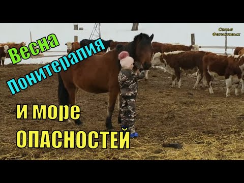 Будьте БДИТЕЛЬНЫ. Весна - опасное время// Семья Фетистовых