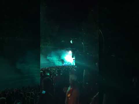 Wilderness 2023 The Valley. Eats everything