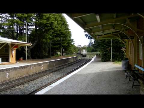 Exeter NSW near cross, PN 5BM4 and El Zorro 3998