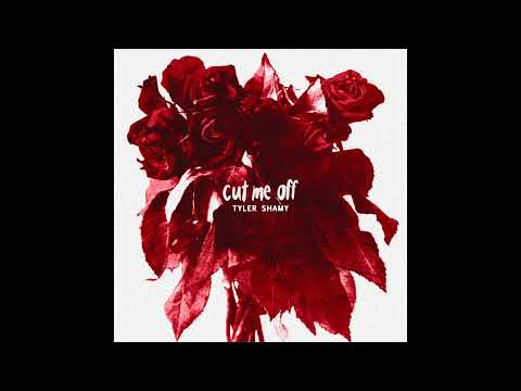 Tyler Shamy - Cut Me Off (Audio)