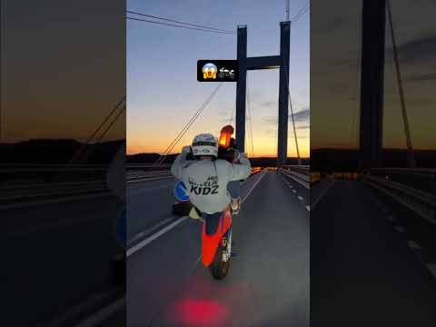 Track ID: @neptunicamusic x @jebroerforlife - Driving Without License credits: @finn_hwk on IG