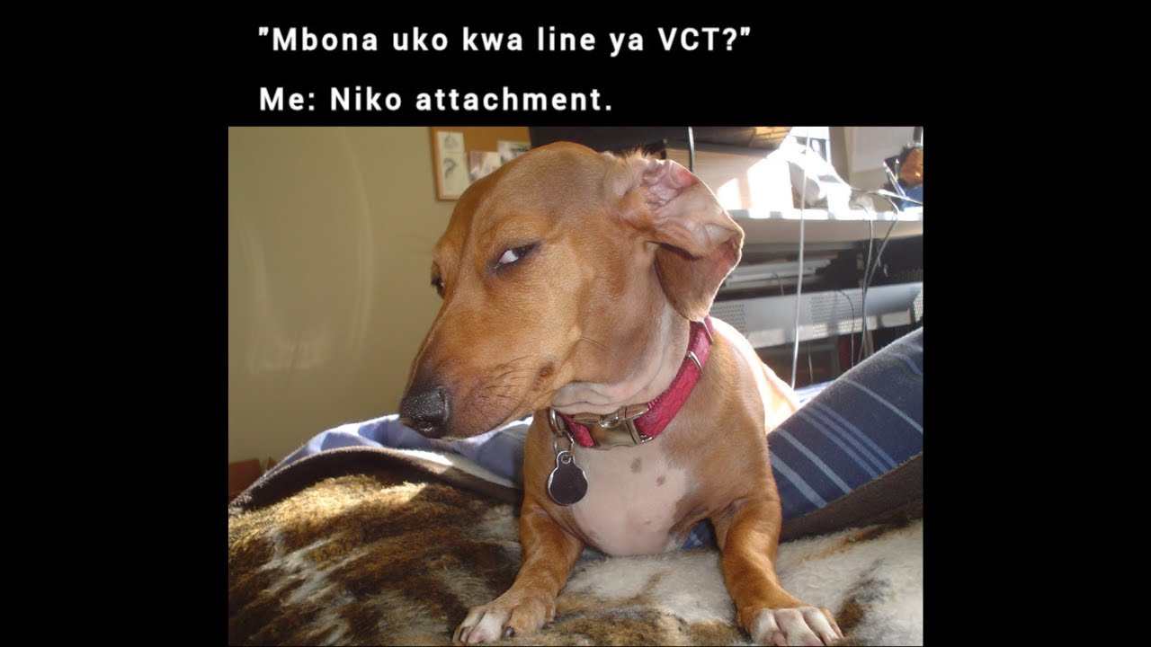 DON'T LAUGH #55 Kenyan Memes