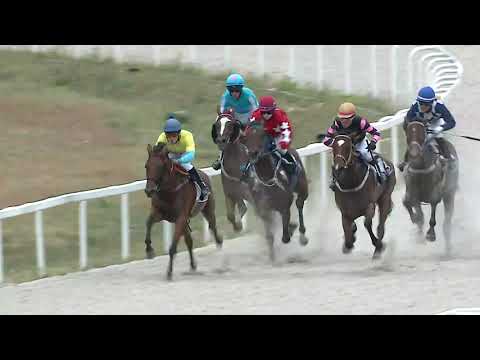 2023.07.30. 1. Futam - BALTAZZI FIVÉREK EMLÉKVERSENYE HENDIKEP (IV.o.) (szintetikus pálya)