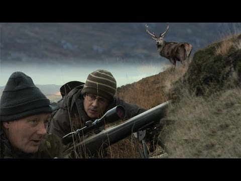 download lagu mp3 mp4 Fallow Deer Stalking Scotland, download lagu Fallow Deer Stalking Scotland gratis, unduh video klip Fallow Deer Stalking Scotland