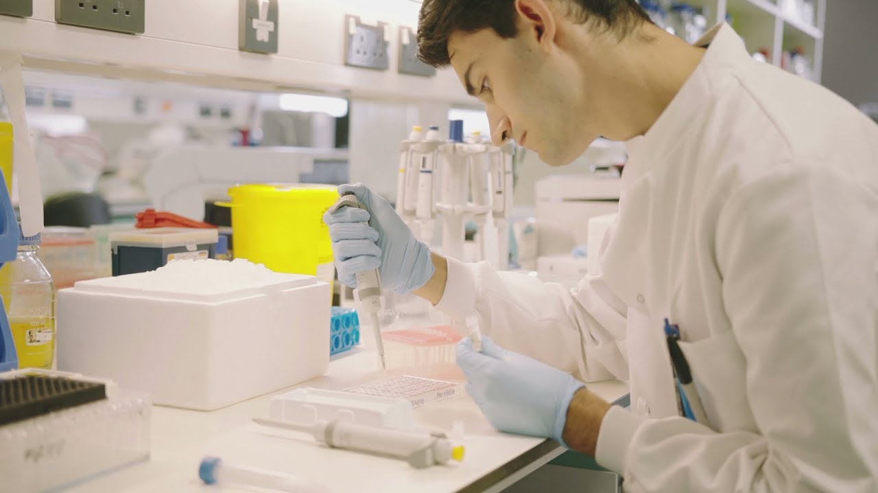 Journey of a cancer biobank blood sample