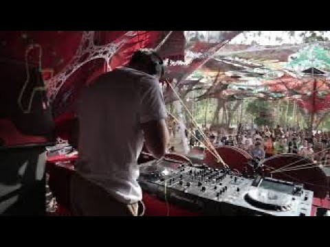 New Future - Reveilloz