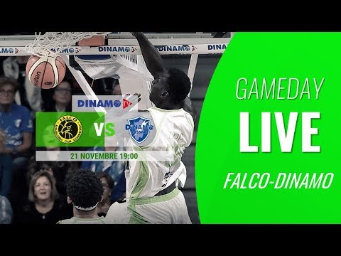 GAMEDAY LIVE | FALCO-DINAMO