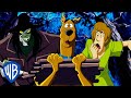 Scooby Doo Lost In The Woods ️ WB Kids