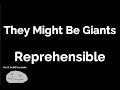 They Might Be Giants - Reprehensible (karaoke)