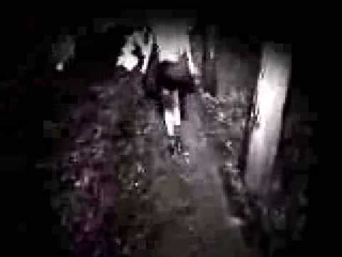 m2o Diabolika || Venusville Esorcista