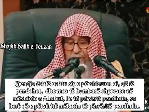 Shejkh Salih el Feuzan: Rënia në mëkat dhe pendimi i vazhdueshëm a konsiderohet tallje?