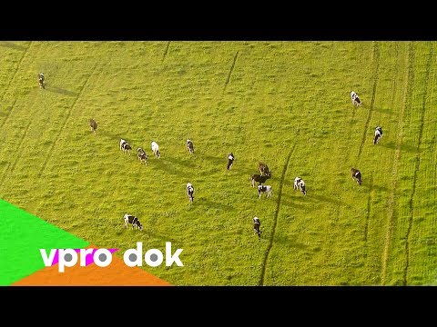 Niederlande: Landwirtschaft und Lebensmittelproduktion