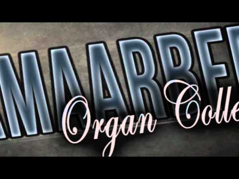 DJ's From Mars Feat. Fragma - Insane (In Da Brain) Klaude Remix