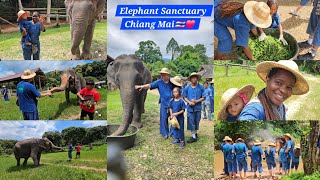 Visited The Elephant Sanctuary In Chiang Mai On DAY2. FEEDING THE  ELEPHANTS IN CHIANG MAI @Thailand