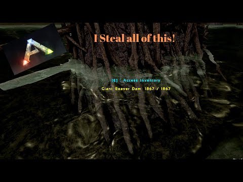 Ark Valguero: Co-Op Episode 31 - Stealing from the Beavers goes wrong