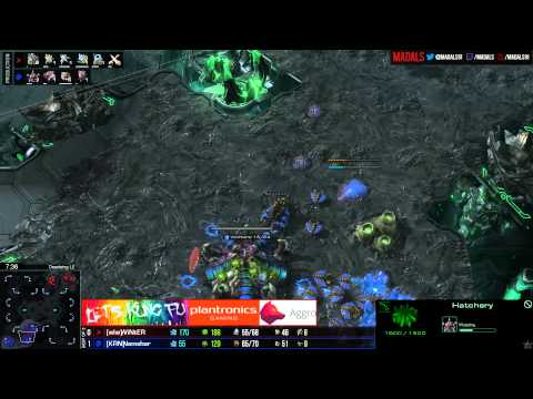 The Foreign Hope Namshar v Winter PvZ G2