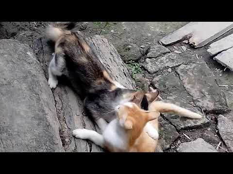 ২ মে, ২০১৮