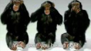 Average Person (with lyrics) - Paul McCartney