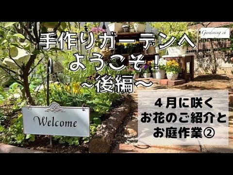 クリスマスにアマリリスを再び咲かせるにはどうすればよいですか?内に秘められた計り知れない美しさ  庭園