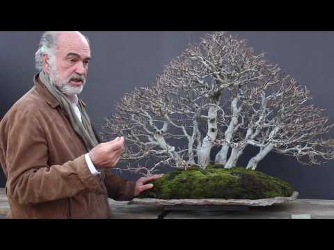 Interview with Luis Vallejo