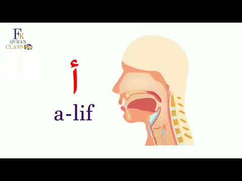Alif Pronounce to Arabic Sound | Human Speak to Pronounce