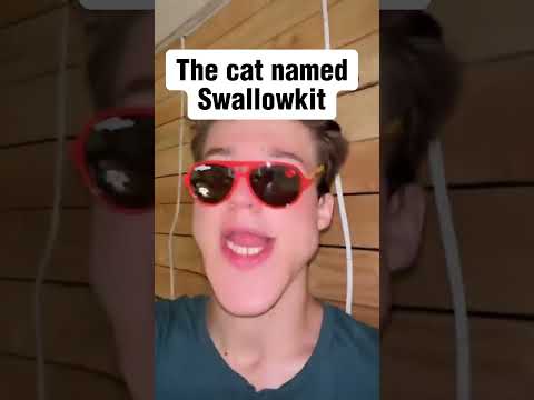 Names of Warrior Cats... #meme #speedmcqueen #foryou #warriorcats  #trending
