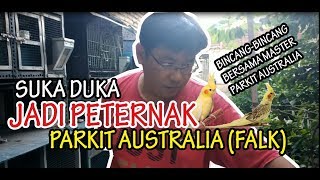 Download lagu BINCANG MASTER | Cerita suka duka jadi peternak parkit australia (cockatiel) asal Bekasi. mp3